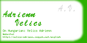 adrienn velics business card